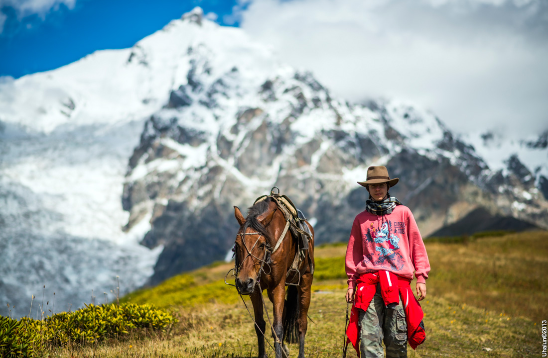 georgia_horses04